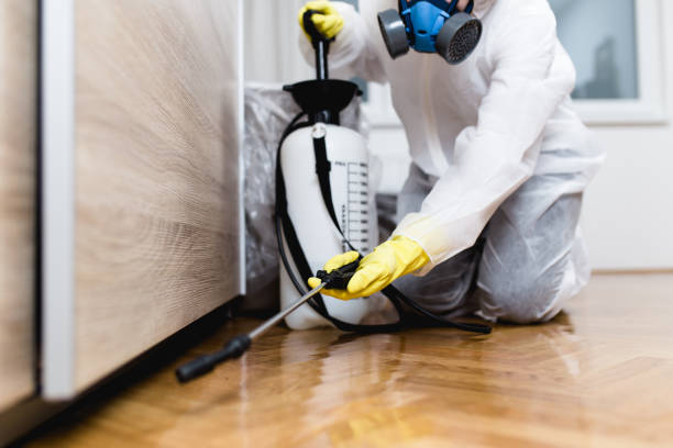 Best Termite Control Services  in Wilkes Barre, PA