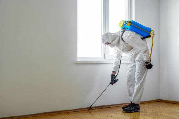Best Best Pest Control Companies  in Wilkes Barre, PA