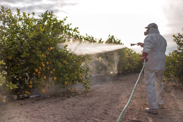 Best Emergency Pest Control  in Wilkes Barre, PA