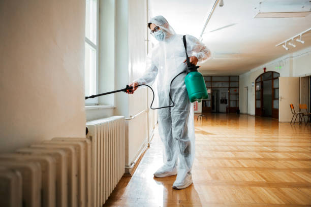 Wasp Removal Services in Wilkes Barre, PA