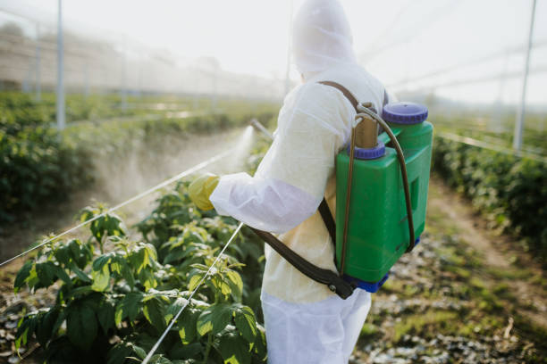 Professional Pest Control in Wilkes Barre, PA